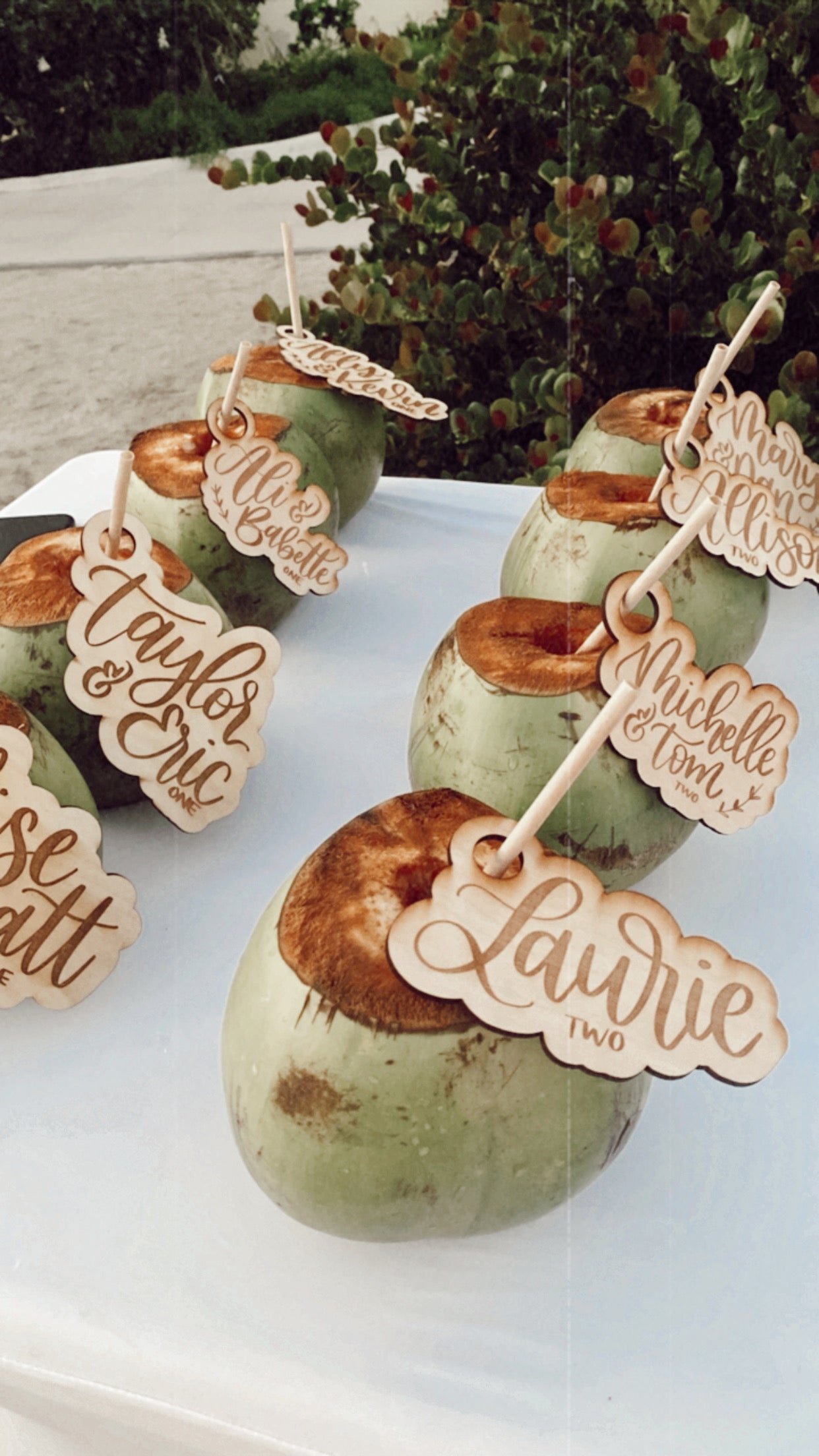 Coconut Wedding Place Cards
